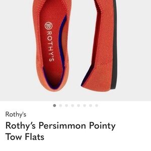 Rothy's Persimmon Pointy Toe Flats - NWT